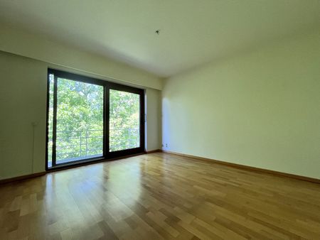 Instapklaar 2 slpk-appartement met 2 terrassen en autostnplts - Foto 4