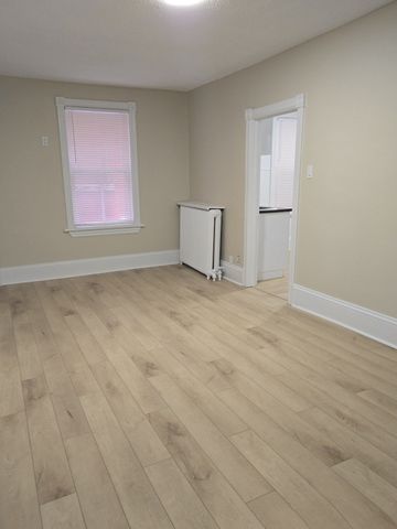 For Lease - 158 St Andrew Street Unit# 1, Lower Town - Sandy Hill, Ontario - Photo 2