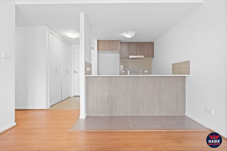 88/41 Philip Hodgins Street, Wright ACT 2611 - Apartment For Rent | Domain - Photo 5