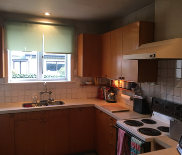 117 Avonhead Road, Avonhead - Photo 4