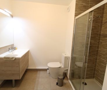 Location Appartement 1 pièce 18m² NANTES 44000 - Photo 4