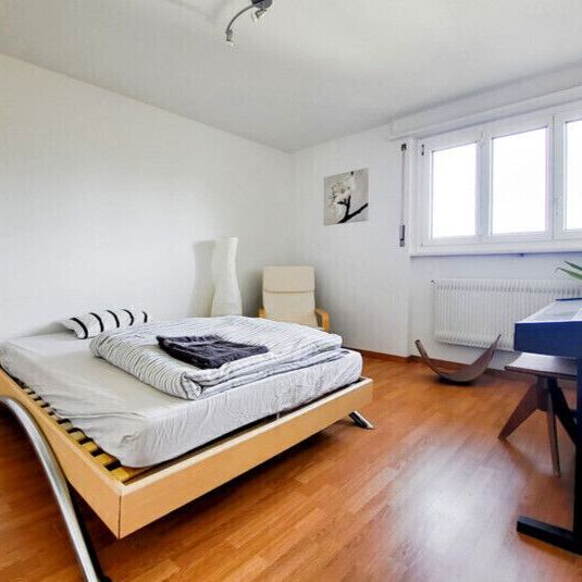 31/2-ROOM APARTMENT IN BERN - WEISSENBÜHL, FURNISHED - Photo 1