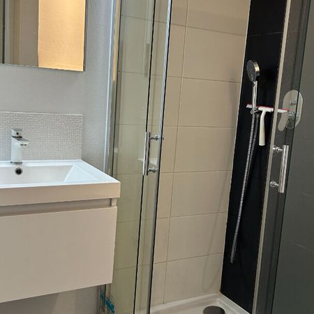 Location Appartement 1 pièce 23m² - Photo 3