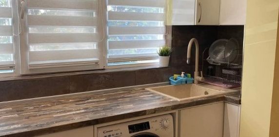 Se inchiriaza garsoniera in zona Florilor - Fotografie 2