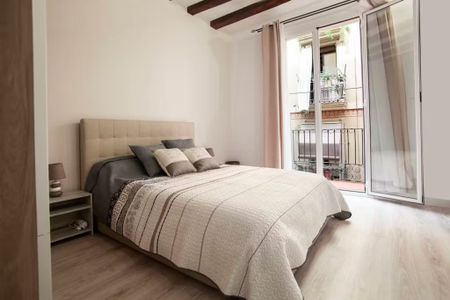 Carrer de la Cera, Barcelona, Catalonia 08001 - Photo 3