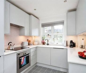 Forest Road - Photo 2