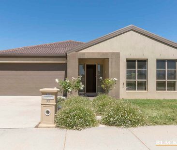 Light filled spacious family home - Photo 1