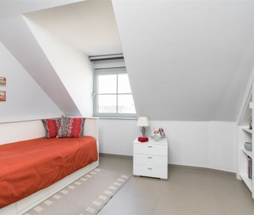 Mechelbaan 509, 2580 Putte - Photo 3