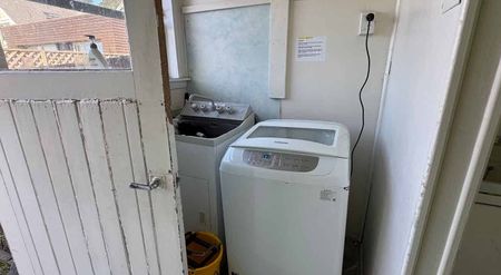 large bedroom with kitchen in Mt Victoria - Photo 3