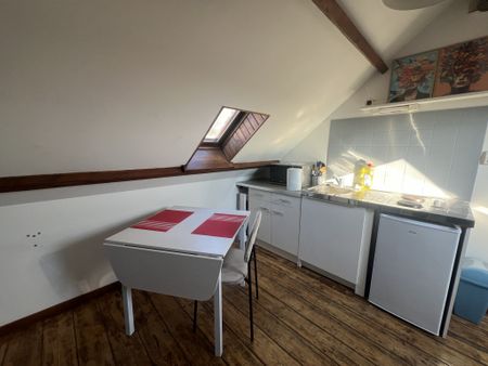 STUDIO MEUBLÉ QUARTIER SAINT ANNE - Photo 4