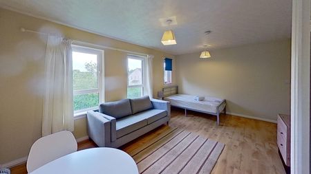 1 bedroom studio apartment to rent - Photo 2