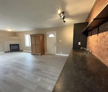 Central Barrie: Newly Renovated 1 Bed, 1 Bath Unit, Wellington St. ... - Photo 2