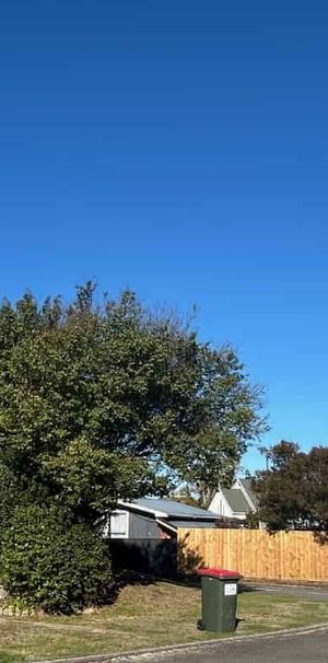 AVAILABLE NOW - 1 Large Studio Unit including power and internet - Photo 1