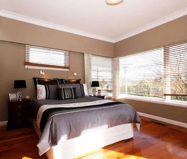 Sunny Family pet friendly home with an Avo tree - Photo 2