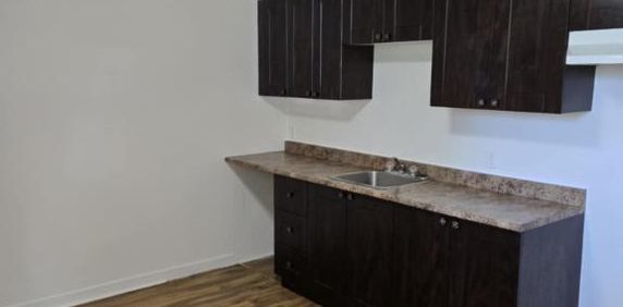 4 1/2 à louer — Louiseville — 1 190 $ / mois — disponible 1er juillet 2026 - Photo 2