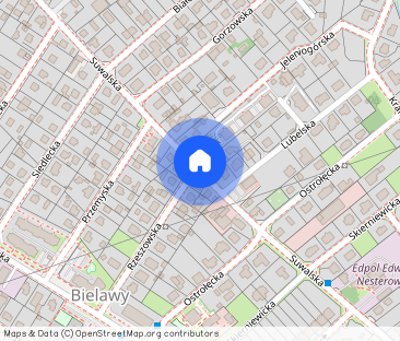 Bielawy*oryginalne*3 pokojowe*na poddaszu* - Фото 1