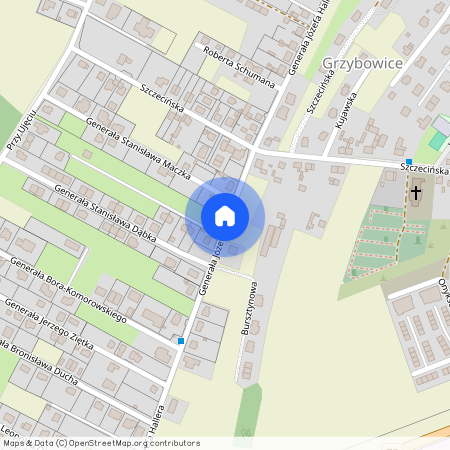 ul. gen. Józefa Hallera, Grzybowice, Zabrze, śląskie