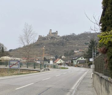 Nahe an den Weinberge und Blick zur Ruine Senftenberg-pures Wohnerl... - Photo 5