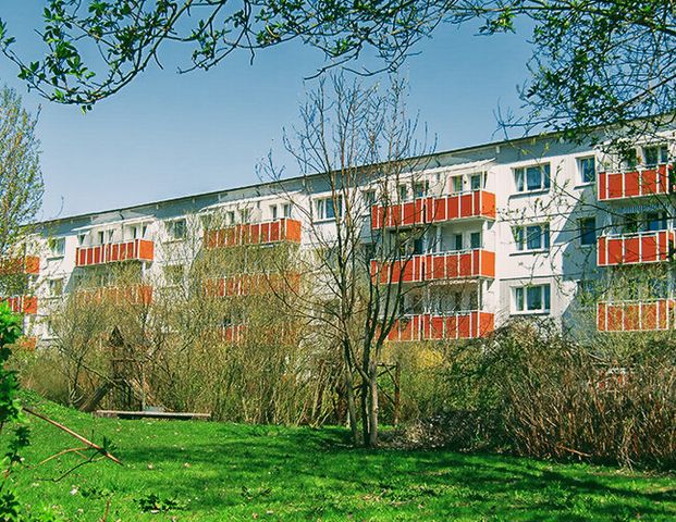 Mit Blick auf den Igelpfuhl - Photo 1