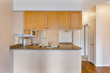 For Lease - 909 Bay Street Unit# 710, Toronto, Ontario - Photo 5