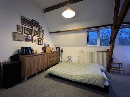 Delpratsingel - Photo 3