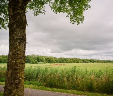 Te huur: Huis Nijensteinheerd in Groningen - Foto 3