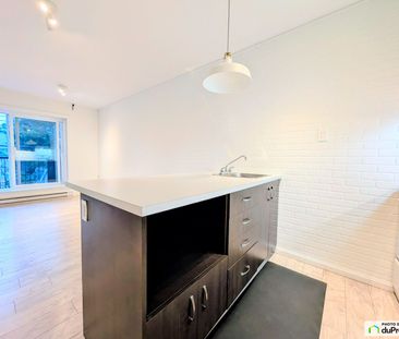 203-5687, Rue St-Hubert, Rosemont / La Petite Patrie à louer - Photo 4