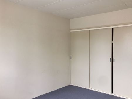 LARGE TWO BEDROOM APARTMENT! - Photo 4