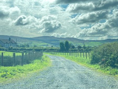 14 Bog Road, Killeen, BT35 8FS - Photo 4