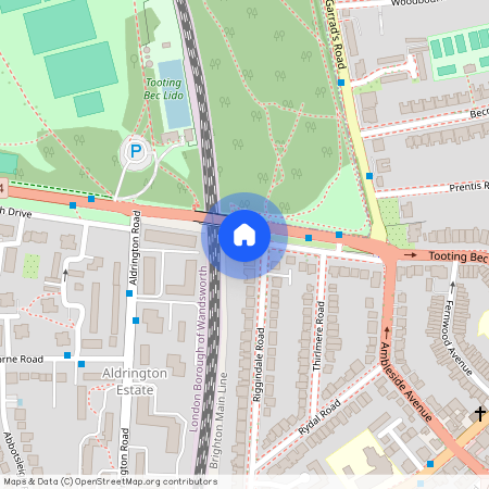 Riggindale Road, SW16