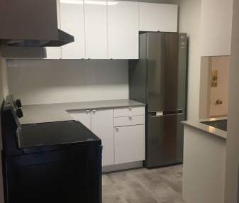 SPECIAL Move-in incentive!1 Bedroom Renovated Suite in Kitsilano! - Photo 2