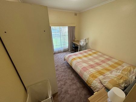 Campbelltown - Photo 3