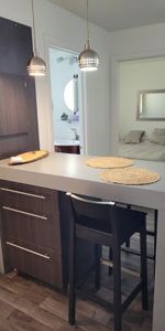 3,5 Beau frais peinturé et meublé de A a Z terrasse sur le toit - Photo 4