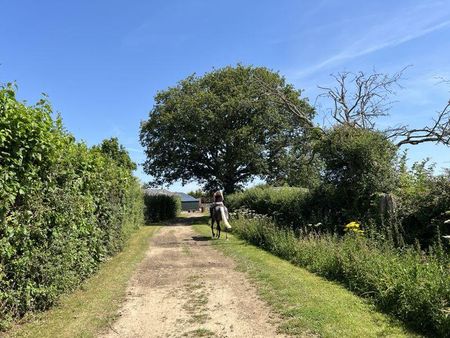 2 bedroom equestrian property to rent - Photo 5