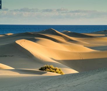 San Bartolome de Tirajana, Canary Islands 35100 - Photo 1