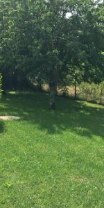 Maison F5 135m² (réf 2128030) - Photo 4