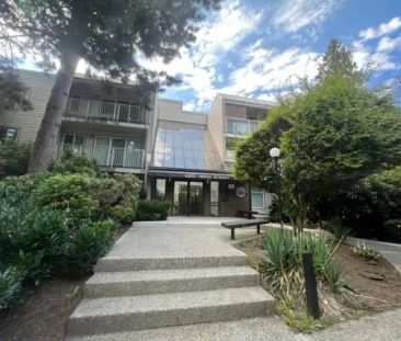 Cumberland Park Apartments — 104 - Photo 4