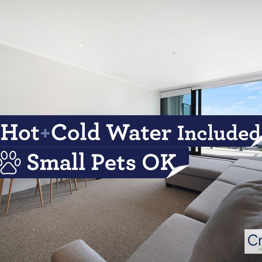 2 large bedrooms + 2 Bath at Centro , Sugartree! - Photo 1