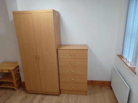 Eglantine Gardens, Belfast, BT9 6EZ - Photo 5