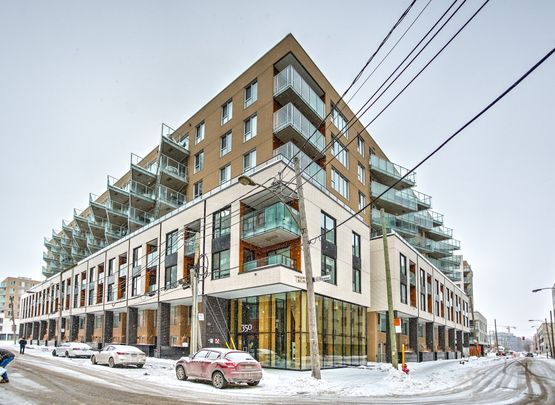 Rue Eleanor, H3C 0T5, Montréal - Photo 1