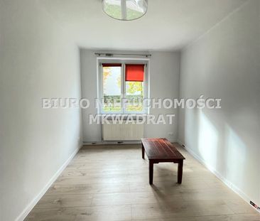 Rybnik, Maroko - Zdjęcie 1