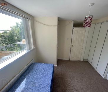 45 Fernagh Drive, Newtonabbey, BT37 0BH - Photo 5