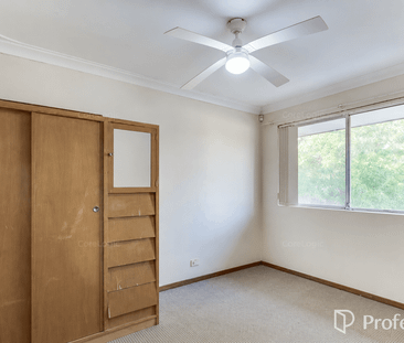 LARGE BACKYARD WITH DRIVE THRU SHED - Photo 6