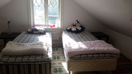 Patamalm, Ålem - Photo 4