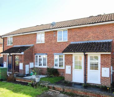 St. Bedes Gardens, Cambridge - Photo 6