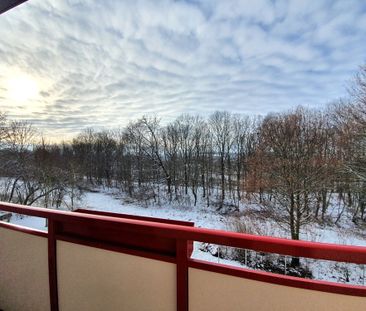 Eckersbacher Höhe 51 - Photo 3