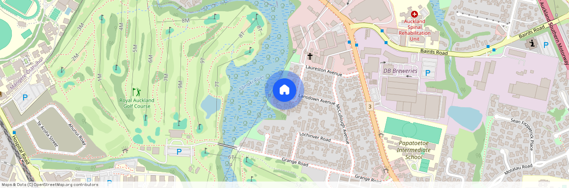 35 Laureston Avenue, Papatoetoe, Manukau City