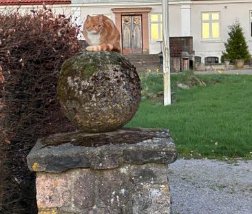 Asmundtorpsgården, Eslöv - Foto 2