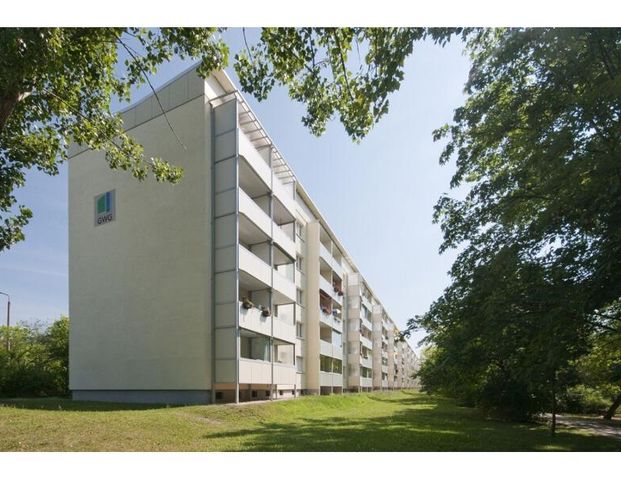 Schieloer Straße 1 - Harzer-Karree - Foto 1