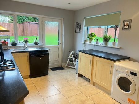 19 Cloughreagh Park, Bessbrook, Newry, BT35 7EH - Photo 5